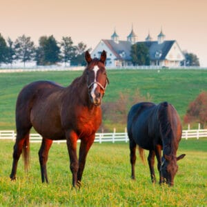 Travel Nursing in Lexington Kentucky